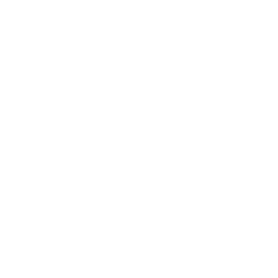 DELASDES